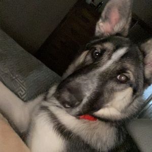 Meet your Posher, Rogerio